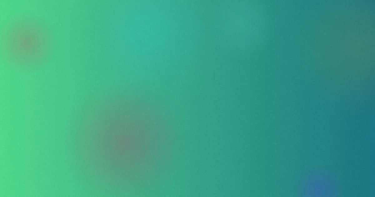 美国性视频攻略：怎么选才稳